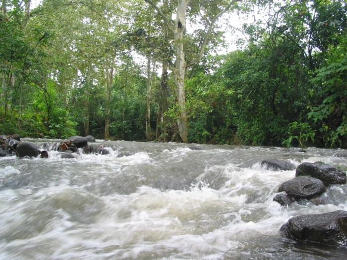 Rio Pixquiac, al nivel del Puente de Seis de Enero, Zoncuantla